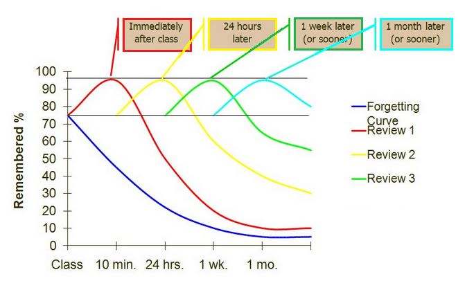 The forgetting curve