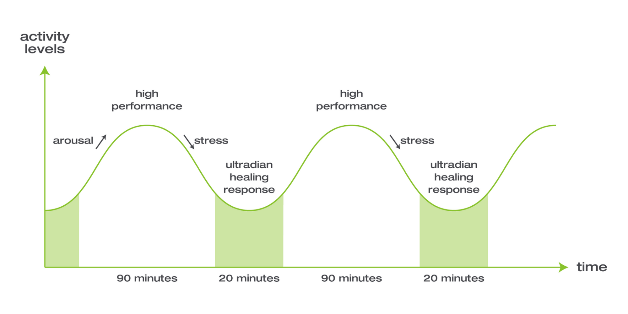 Pomodoro technique: A more productive and concentrated approach to work -  IONOS