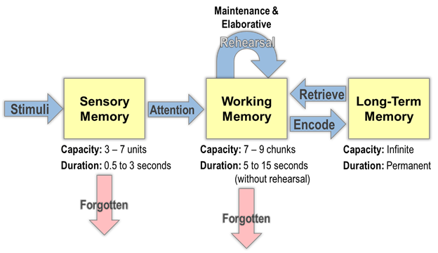 new research on working memory