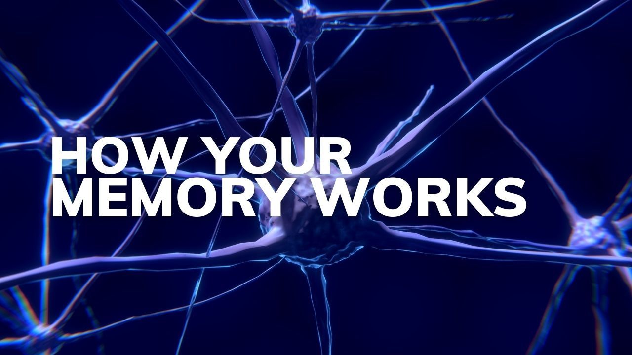 How Our Memory Works