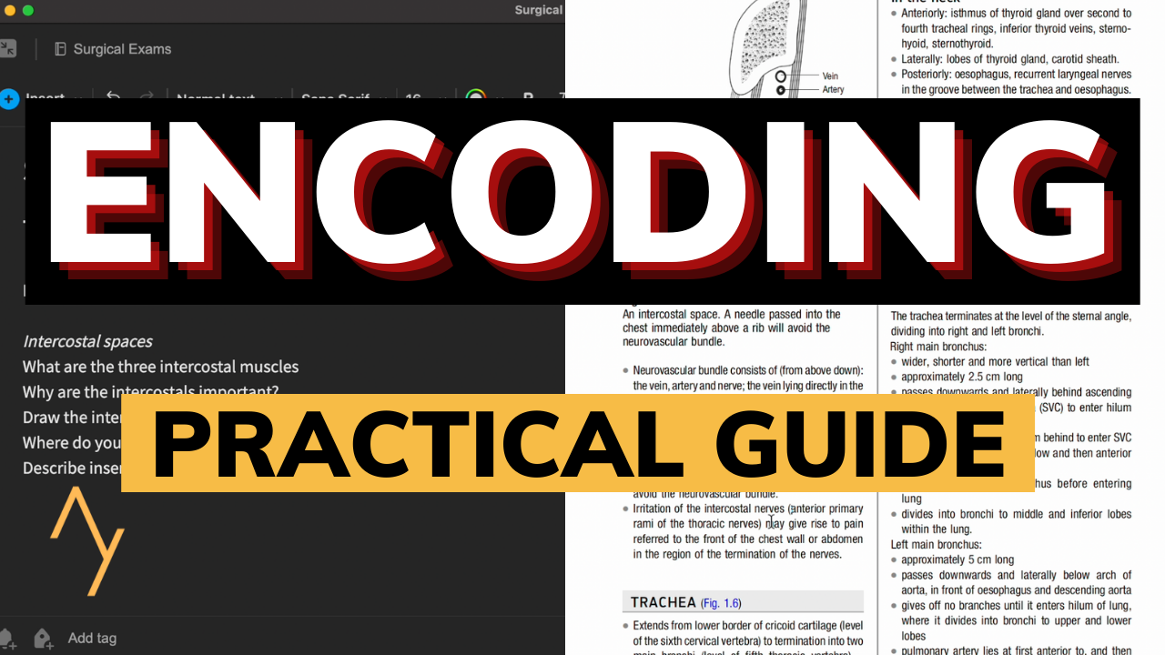How I Get TOP GRADES With ENCODING & ACTIVE RECALL - A Practical Guide
